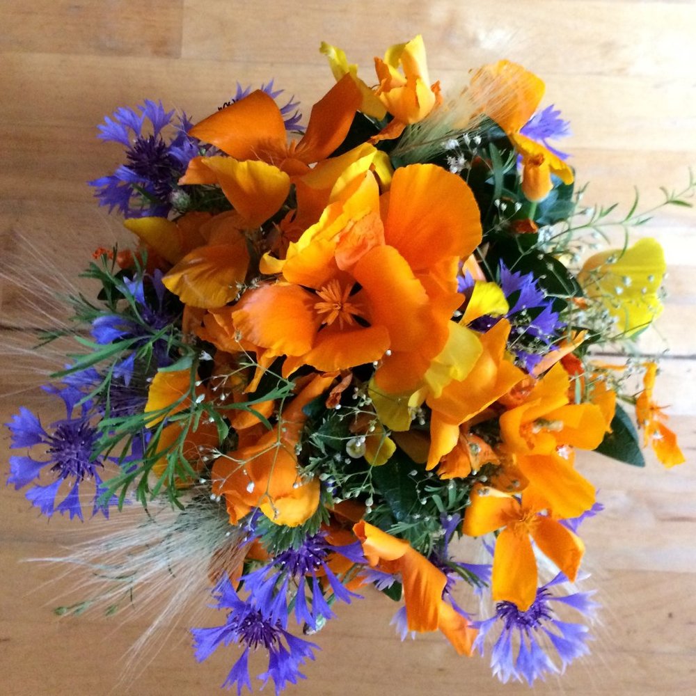 Meet your Posher, Dorothea